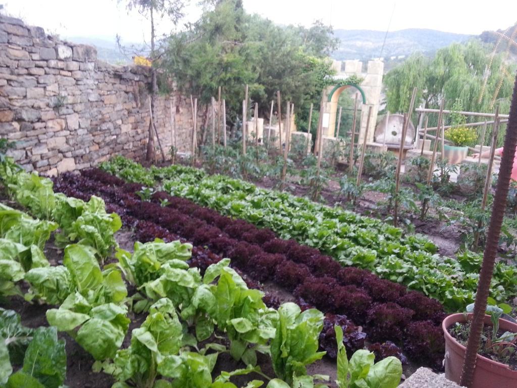 Las Bodegas De Claveria El Humo de Muro Exterior foto